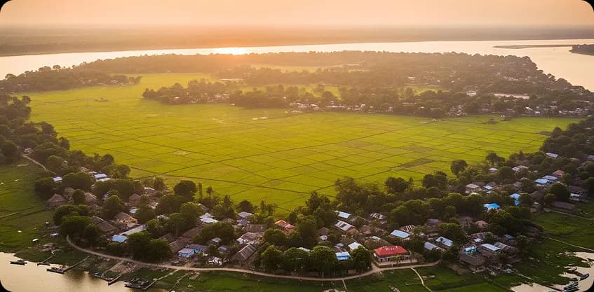 Aerial view of lush green paddy fields and village life on Majuli river island