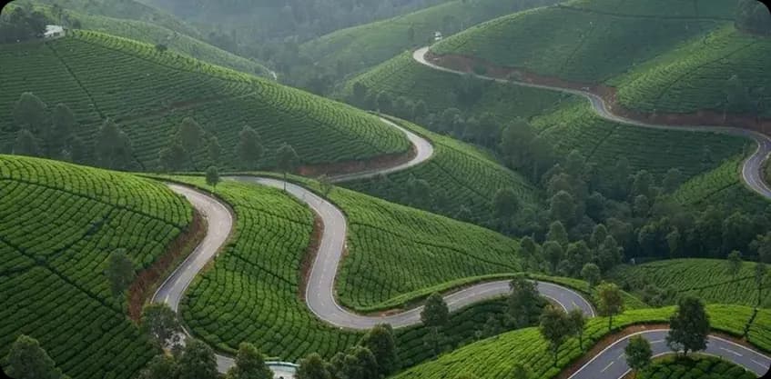 Winding mountain road snaking through lush green tea plantations in Valparai