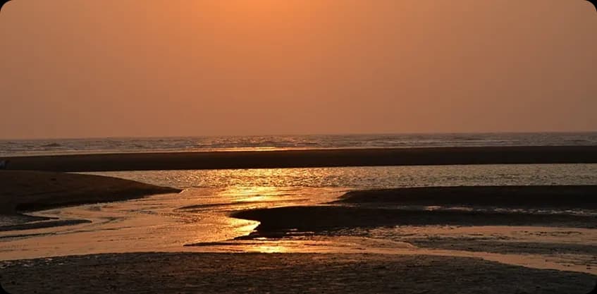 Golden sunset reflecting on calm tidal waters at Velas beach on the Konkan coast