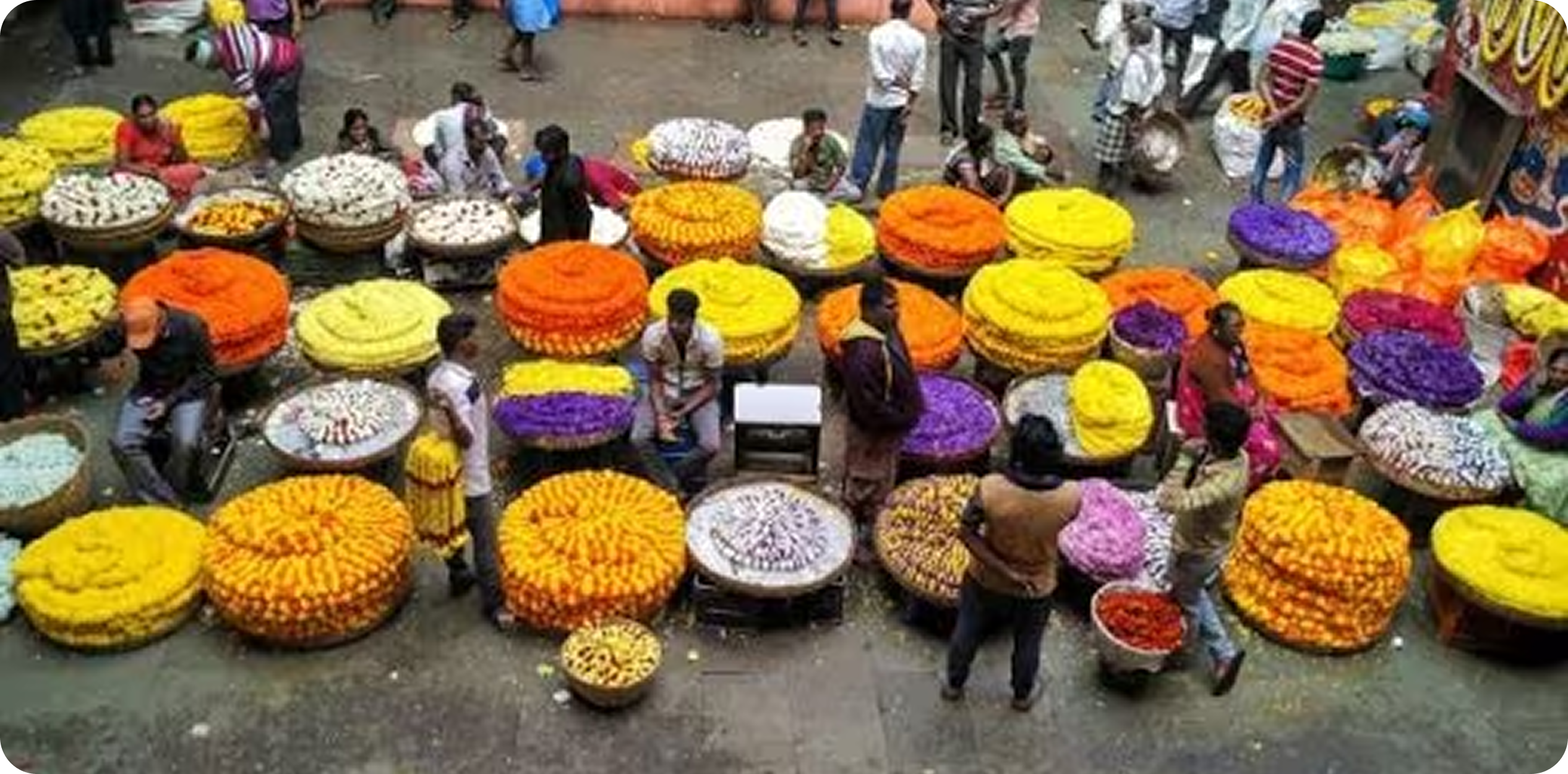 Local Flower Market During Diwali